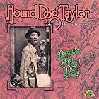 Beware of the Dog by Hound Dog Taylor
