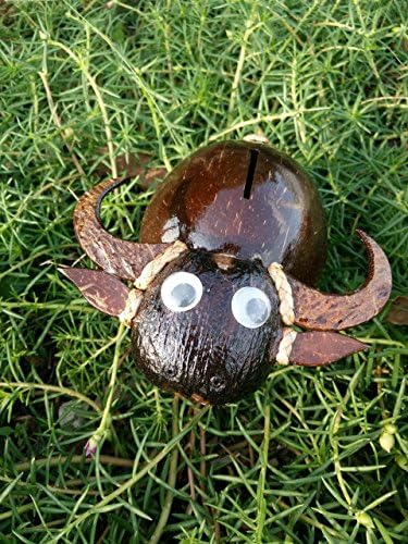 Buffalo Coconut shell Piggy Bank Handmade Product from Thailand