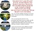 The Fantastic How To Earn Extra Money, Marketing and Success Principles for Scented Candles Web Biz 3 Course + Resource Guide by Jeremy X. Miller