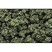 Woodland Scenics Olive Green Bushes Clump-Foliage (32 oz. Shaker)