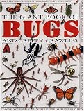 Bugs and Creepy Crawlies (Giant Book of)