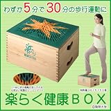 ≪楽らく健康ＢＯＸ≫〔NHKも注目〕発明主婦 小川信子のアイデア品/踏み台昇降・スローステップ・有酸素運動/発明大学