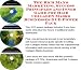 The Rich Man's Marketing, Success Principles and Inner Game for Hair Collagen Masks Businesses 3 CD Power Pack
