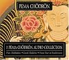 Pema Chodron Collection