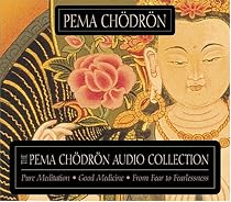 The Pema Chodron Audio Collection: Pure Meditation:Good Medicine:From Fear to Fearlessness