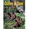 The Peoples & Culture of West Papua (Irian Jaya)