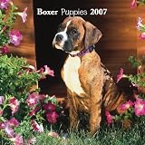 Boxer Puppies 2007 Mini Calendar