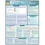 Cascading Style Sheets Laminated Reference Guide (Quickstudy: Computer)