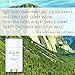 100% Natural and Aluminum Free High Performance Deodorant by Whole Clarity 3.1 Ounce [Lavender]