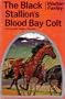 The Black Stallion's Blood Bay Colt