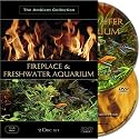 Fireplace & Freshwater Aquarium