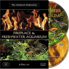 Kaminfeuer & Suesswasser Aquarium - Fireplace & Freshwater