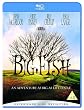 Big Fish [Blu-ray] [2007][Region Free]