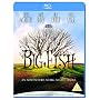 Big Fish [Blu-ray] [2003]