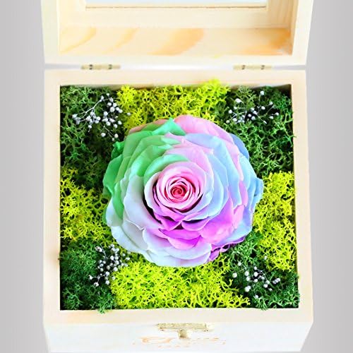 Natural Preserved Fresh Flower Rainbow Rose Personalized Valentines day present gifts