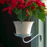 Lotus Sconce, Side Mount Pot Holder - Sage