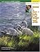 Creating Light (Paint Along With Jerry Yarnell, Vol. 9)