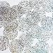 Round Flat Sequin 40mm Silver Tiger Stripe Transparent Hologram Glitter Sparkle. Couture Paillettes. Made in USA