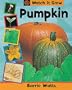 Pumpkin (Watch It Grow)