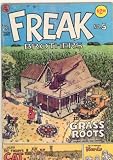 Fabulous Furry Freak Brothers in 