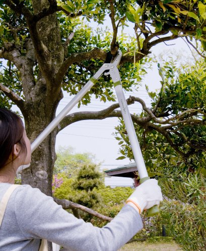 Cover image : Gardening Pro パワーアップ枝切鋏 PGS-050