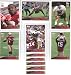 2009 Topps San Francisco 49ers Complete Team Set of 11 cards including Frank Gore, Josh Morgan, Isaac Bruce,and more!
