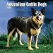 Australian Cattle Dogs 2008 Square Wall Calendar