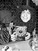 Jigsaw of Music - T Rex - 1972 from Press Association Images