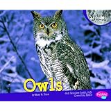 Owls (Nocturnal Animals)
