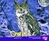 Owls (Nocturnal Animals)