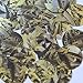 Sequin Round 30mm Yellow Silver Bird Feathers Print Metallic