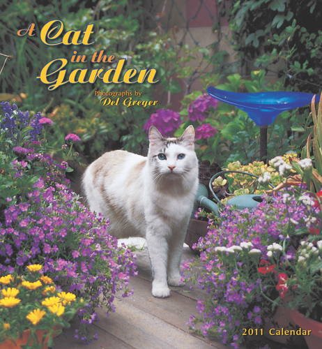 A Cat in the Wall Calendar