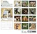 National Geographic Baby Animals 2017 Wall Calendar
