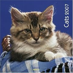 Cats 2007 Brosch�renkalender inkl. Geburtstagskalender.