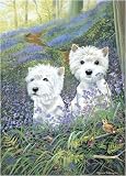 Eigenschaften Otter House  / The Bluebells of Scotland (Westies) - Puzzle 1000 Teile