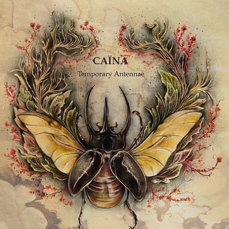 CD-Charts  Music : Temporary Antennae