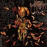Sublime Cadaveric Decomposition