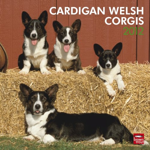 Cardigan Welsh Corgis 2012 Square 12x12 Wall Calendar