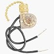 Westinghouse Lighting 77023 Ceiling Fan Light Switch