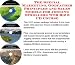 The Special Marketing, Godfather Principles and Sales Models for Jogging Strollers Web Biz 3 CD Course