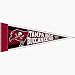 NFL Tampa Bay Buccaneers Set of 3 Mini Pennants **