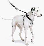 The Sporn Pull Stop Halter Leash BLACK ? SMALL