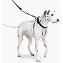 The Sporn Pull Stop Halter Leash BLACK  SMALL