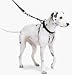 The Sporn Pull Stop Halter Leash BLACK