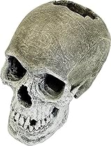 Exotic Environments Human Skull Aquarium Ornament, 5-Inch by 7-1/2-Inch by 6-Inch
