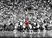 Michael Jordan NBA Chicago Bulls "The Shot" 8x10 Photo