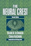 The neural crest