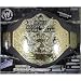 WWE Wrestling Jakks Pacific Kids World Heavyweight Champion Belt