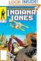 Indiana Jones Omnibus: The Further Adventures Volume 2