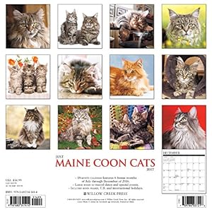 Just Maine Coon Cats 2017 Wall Calendar (Cat Breed Calendars)